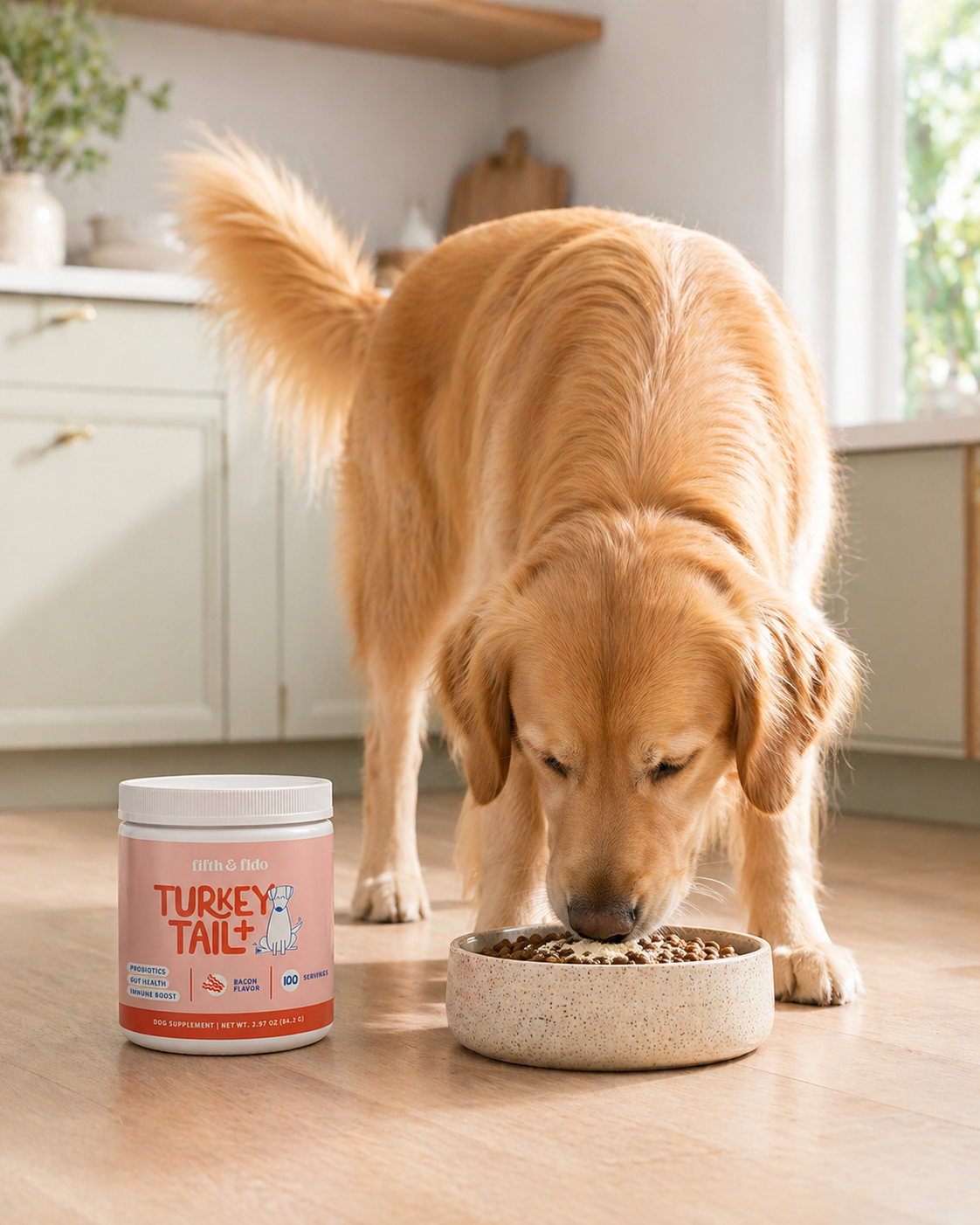 Turkey Tail Probiotic Powder for Dogs