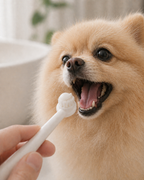 Soft Bristle Dog Toothbrush